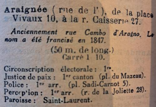 Araigne10