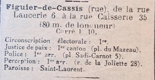 Figuier de Cassis_20240819_150125