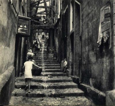 rue 10