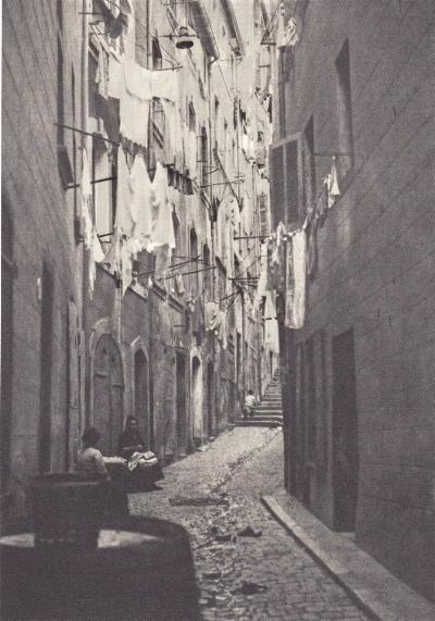rue 13